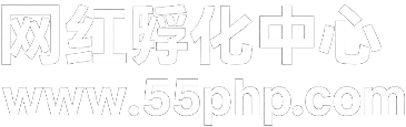 抖音代刷网